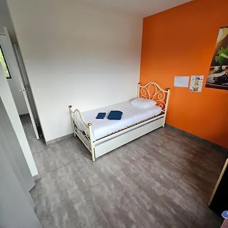Maison Spacieuse Climatisee Avec Jardin 2 Pkg Et Piscine Villa Aucamville
