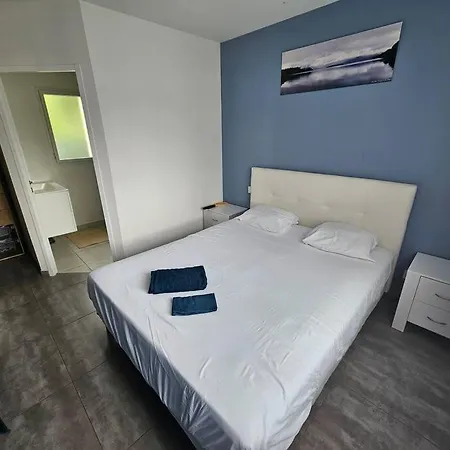 Villa Maison Spacieuse Climatisee Avec Jardin 2 Pkg Et Piscine Aucamville